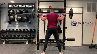 Barbell Back Squat