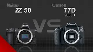 Nikon Z50 vs Canon EOS 77D (1300D)
