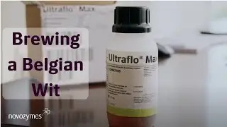 Brewing a Belgian Wit using Ultraflo Max