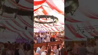 famous beer festival in germany#world #germany#travel #shortvideo #beer festival