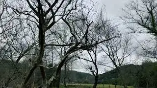 Kocaeli İstanbul 2020 | Camping Trip