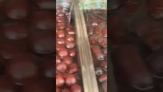 Wholesale Gulabjamun in Mumbai@santacruz | होलसेल गुलाबजाम😋😍 #shorts #gulabjamun #mumbai #shortvideo