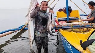 #spearfishing#philippines#misamisoccidental personal beast barracuda 18 1/2 kg... with team waho 👍🤙👊
