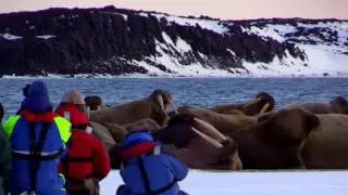 Arctic Adventures New Year