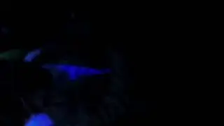 qube disco, dance dance