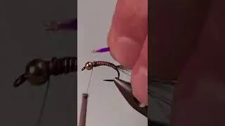 Overkill Nymph for Trout in 60 Seconds