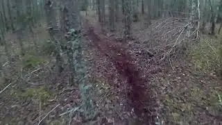 (Rollei 6s plus actioncam test) Pit Bike -RFZ-140CC-LIFAn