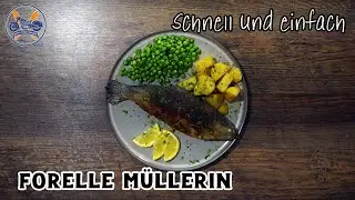 Forelle M&uuml;llerin art, ein echter Klassiker