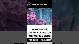 TOBi & Mick Jenkins - FORGOT WE WERE SEEDS [Anime Visualizer]