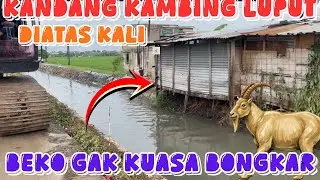 RUMAH  DIBONGKAR KANDANG KAMBING AMAN DI KALI TANGGULGABUS