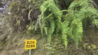 MOUNTAIN PROVINCE BUS RIDE #nature #youtube #drive #travel