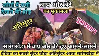 सारंगखेड़ा में पहुंचा इंडिया का सबसे सुंदर घोड़ा अति सुंदर और हुआ बाप और बेटे में मुकाबला !