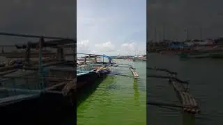 Binangonan fish port terminal #short
