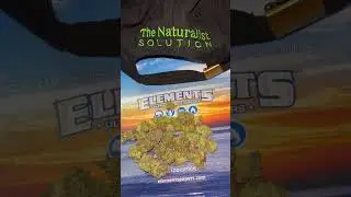 The Natualist Solution - Coconut Cloud 🥥☁️ (personal top 3 of all time) #medicalcannabis