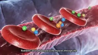 Healthy Eating and Fitness Benefits: A Visual Guide