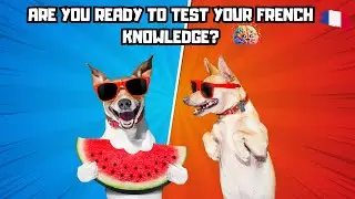 🔥🧠 French Language Quiz: Test Your Knowledge with 10 Questions!😊✨