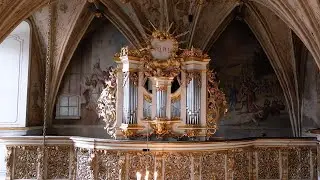 J.S.Bach - Herr Gott, nun schleuss den Himmel auf BWV 1092 | Krzysztof Urbaniak | Lidzbark Warmiński