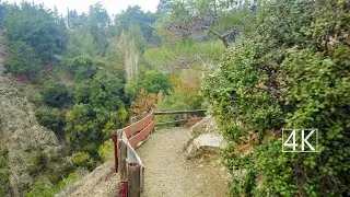 Troodos natural trail in a mountainous area with river. Autumn walk. 4K.