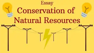 ⚡Conservation of Natural Resources - Essay