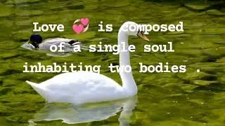 Love 💞 your partner stay positive 🕊️✌️