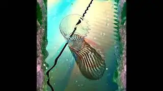 &bull; Ripple &bull; [video creation: Caren Messing & music: Tom Blatt]
