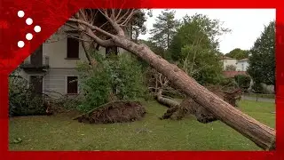 Maltempo in Veneto: alberi sradicati dal vento intorno a una casa di riposo a Portogruaro (VE)