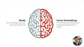 What are AI vector embeddings?
