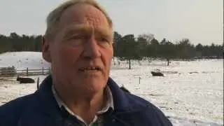 LandTV - 'Husdyrliv i sneen'