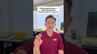 Mental Health and Chiropractic Care