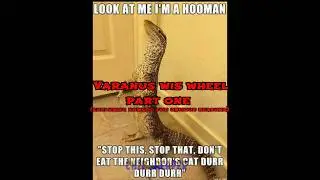 Varanus/monitor elimination wheel part 1 #monitorlizard #reptiles #varanus #memes