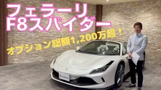 F8　スパイダー