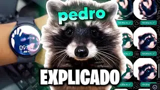 PEDRO PEDRO PEDRO - DE ONDE VEIO O MEME?