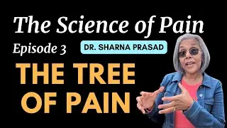 Tree of Pain: A Living Analogy | The Science of Pain with Dr. Sharna, Episode 3
