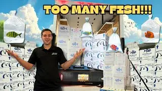 OUR BIGGEST EXOTIC FISH UNBOXING EVER!!! **WITH PAUL CUFFARO, FINATIC, AND GIO LANNI**