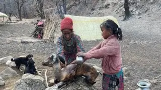 This is Himalayan Village Life in Winter Session | Organic Food Cooking in countryside Village Life