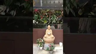 #Peacefulmind..#Budhastatue..#Centrehalldecoration..🙏🌺