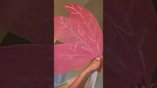 How to make Fairy Wings!