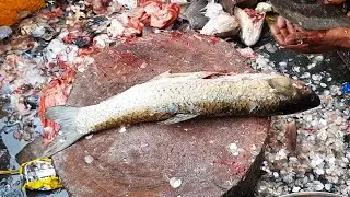 Fish Cutting Expert | Fish Cutting Skills Pakistan | Our Daily Life