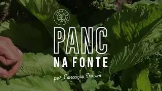 Mostarda, guandu e flor-de-mel - Panc na Fonte ep. 03