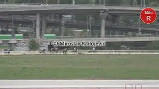 5 ta trka SPRINT KUP 1200m