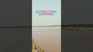 RAVI RIVER TODAY 5/10/2025 #ravi #duet #punjab #flood #duet