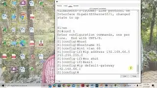 Chapter 3 Activity  Vlan, Trunking and DTP