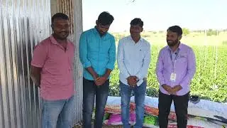 मैत्री असावे तर असे असावे.. दिघंची मधील तरुण शेतकरी ग्रुप #borgave_technology #Borgave #सिमला #मिरची