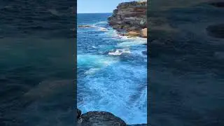#botanypcs #australia #sydney