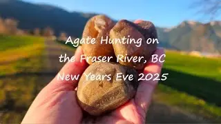 I found some whoppers on New Years Eve, agate hunting in BC