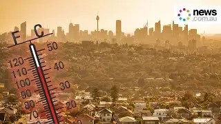 Heat waves could make Sydney unlivable within decades