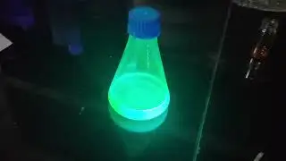 Fluorescent materials in night/ quantum dots/carbon dot/ phosphor/ photo luminescent
