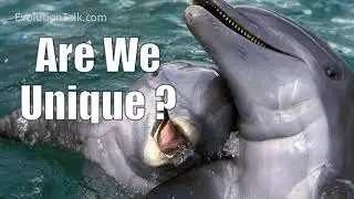 AUDIO: Are We Unique?