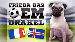 FRANKREICH gegen ISLAND &raquo; FUSSBALL ORAKEL FRIEDA &raquo; EM 2016 EURO 16 FRA ISL Viertelfinale Ergebnis