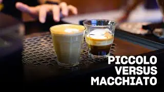 FAKTA SEBENARNYA DI BALIK PICCOLO DAN MACCHIATO! APA BEDANYA?